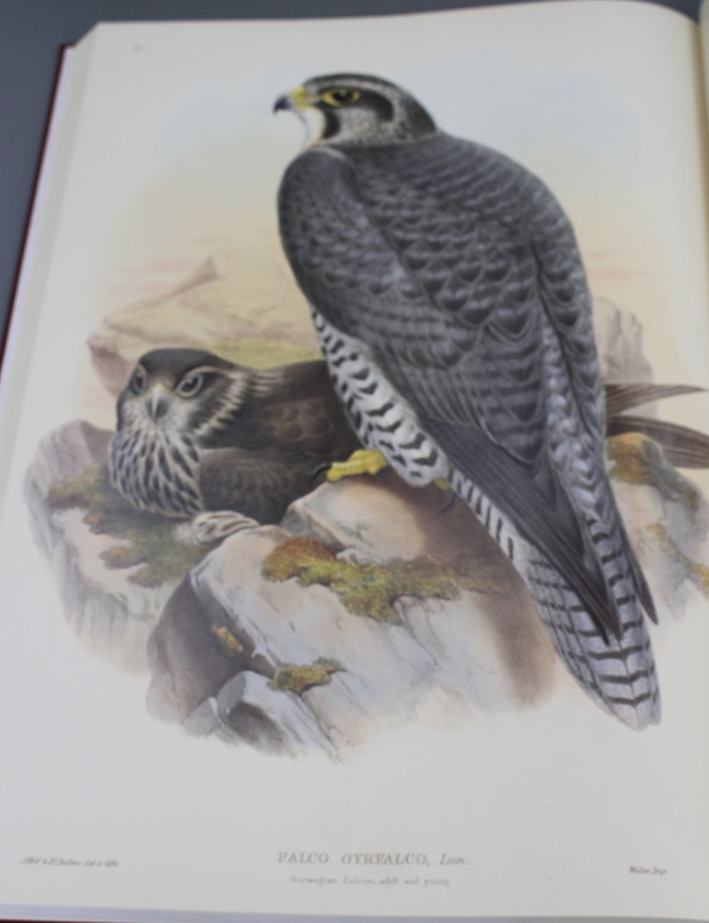 Gould, John - The Birds of Great Britain, facsimile edition, vols 1 and 4 (of 5), folio, gilt titled maroon cloth, with publishers ori